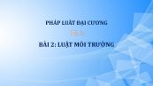 Bài 2: Luật môi trường