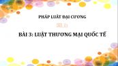 Bài 3: Luật thương mại quốc tế