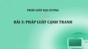 Bài 3: Pháp luật cạnh tranh