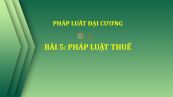 Bài 5: Pháp luật thuế