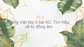 Tiếng Việt lớp 5 bài 5C: Tìm hiểu về từ đồng âm