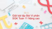 Giải bài tập SGK Toán 11 Nâng cao Bài 4: Vi phân