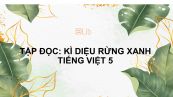 Tập đọc: Kì diệu rừng xanh Tiếng Việt 5