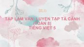 Tập làm văn: Luyện tập tả cảnh (tuần 8) Tiếng Việt 5