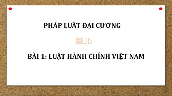 Bài 1: Luật hành chính Việt Nam