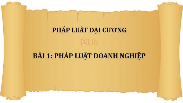 Bài 1: Pháp luật doanh nghiệp