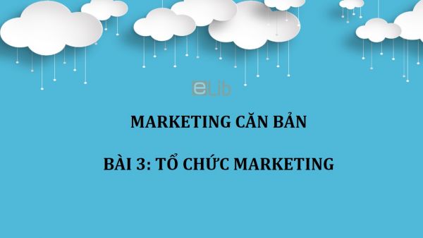 Bài 3: Tổ chức Marketing