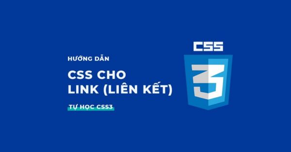 Tạo kiểu, viết CSS cho Link