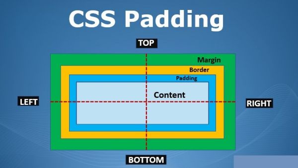 Thuộc tính Padding trong CSS