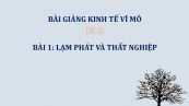 Bài 1: Lạm phát và thất nghiệp