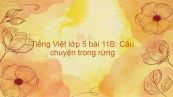 Tiếng Việt lớp 5 bài 11B: Câu chuyện trong rừng
