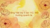 Tiếng Việt lớp 5 bài 11C: Môi trường quanh ta