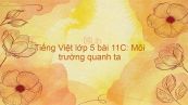 Tiếng Việt lớp 5 bài 11C: Môi trường quanh ta