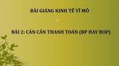 Bài 2: Cán cân thanh toán (BP hay BOP)