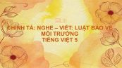 Chính tả Nghe - viết: Luật bảo vệ môi trường Tiếng Việt 5