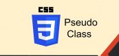 Pesudo class trong CSS