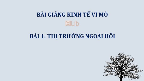 Bài 1: Thị trường ngoại hối