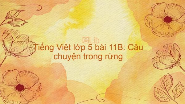 Tiếng Việt lớp 5 bài 11B: Câu chuyện trong rừng