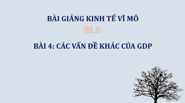 Bài 4: Các vấn đề khác của GDP