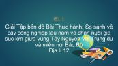 Giải Tập bản đồ Địa lí 12 Bài 38: TH: So sánh về cây công nghiệp lâu năm và chăn nuôi gia súc lớn