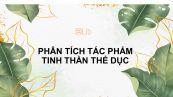 Phân tích tác phẩm Tinh thần thể dục của Nguyễn Công Hoan