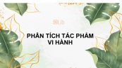 Phân tích tác phẩm Vi hành của Nguyễn Ái Quốc