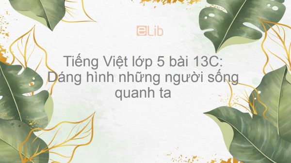 Tiếng Việt lớp 5 bài 13C: Dáng hình những người sống quanh ta