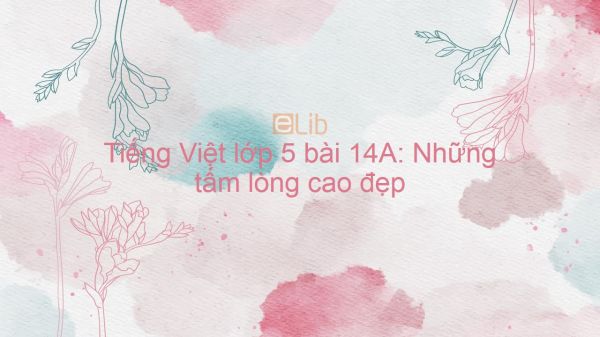 Tiếng Việt lớp 5 bài 14A: Những tấm lòng cao đẹp