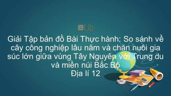 Giải Tập bản đồ Địa lí 12 Bài 38: TH: So sánh về cây công nghiệp lâu năm và chăn nuôi gia súc lớn