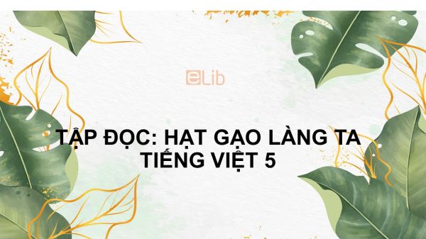 Tập đọc: Hạt gạo làng ta Tiếng Việt 5