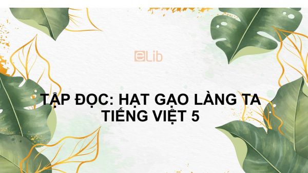 Tập đọc: Hạt gạo làng ta Tiếng Việt 5