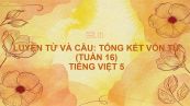 Luyện từ và câu: Tổng kết vốn từ (Tuần 16 - tiếp theo) Tiếng Việt 5