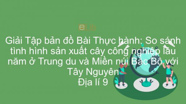 Giải Tập bản đồ Địa lí 9 Bài 30: Thực hành: So sánh tình hình sản xuất cây công nghiệp lâu năm