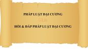Hỏi & đáp Pháp luật đại cương