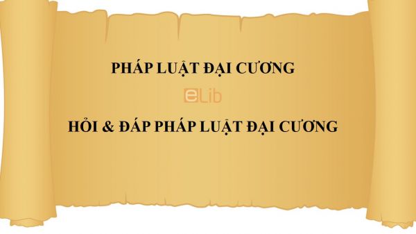 Hỏi & đáp Pháp luật đại cương