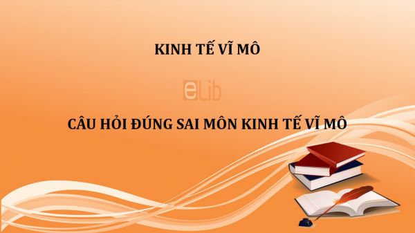 16 câu hỏi đúng sai môn kinh tế vĩ mô có đáp án