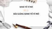 Giáo trình kinh tế học vĩ mô