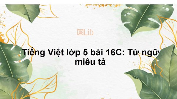 Tiếng Việt lớp 5 bài 16C: Từ ngữ miêu tả