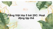 Tiếng Việt lớp 5 bài 20C: Hoạt động tập thể