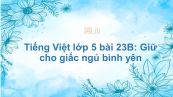 Tiếng Việt lớp 5 bài 23B: Giữ cho giấc ngủ bình yên