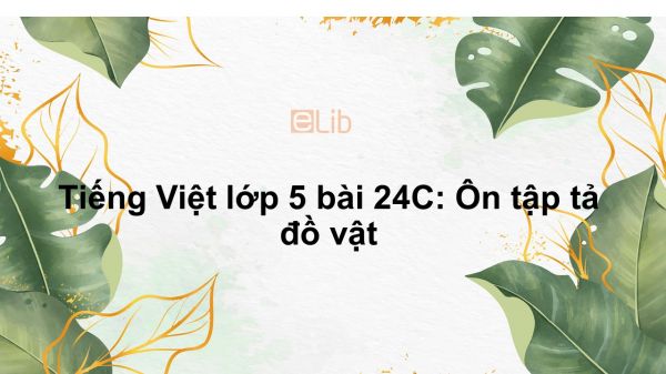 Tiếng Việt lớp 5 bài 24C: Ôn tập tả đồ vật