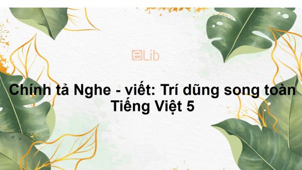 Chính tả Nghe - viết: Trí dũng song toàn Tiếng Việt 5