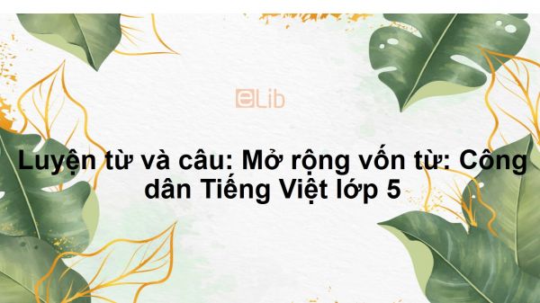 Luyện từ và câu: Mở rộng vốn từ: Công dân Tiếng Việt lớp 5