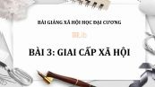 Bài 3: Giai cấp xã hội