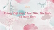 Tiếng Việt lớp 5 bài 30A: Nữ tính và nam tính