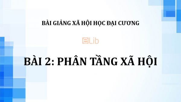 Bài 2: Phân tầng xã hội