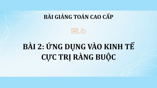 Bài 2: Ứng dụng vào kinh tế - Cực trị ràng buộc