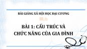 Bài 1: Cấu trúc và chức năng của gia đình