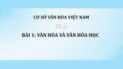 Bài 1: Văn hóa và văn hóa học