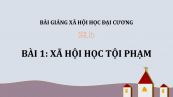 Bài 1: Xã hội học tội phạm